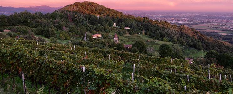 Azienda Agricola Sant’Egidio 