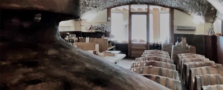 Azienda Agricola Sant’Egidio 