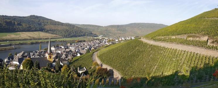 Weingut Selbach-Oster 