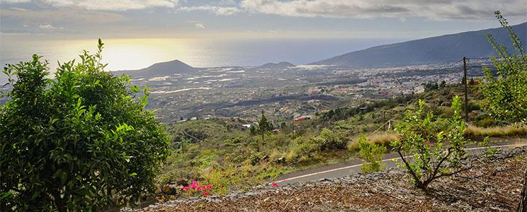 Bodega Comarcal del Valle de Güímar 