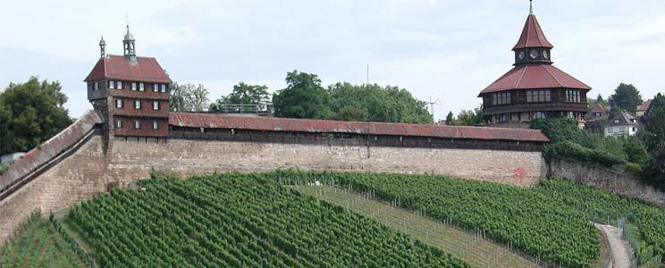 Weingärtner Esslingen: Riesling