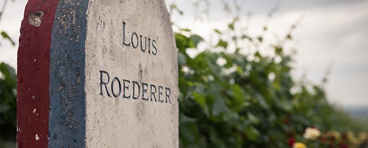 Champagne Louis Roederer 