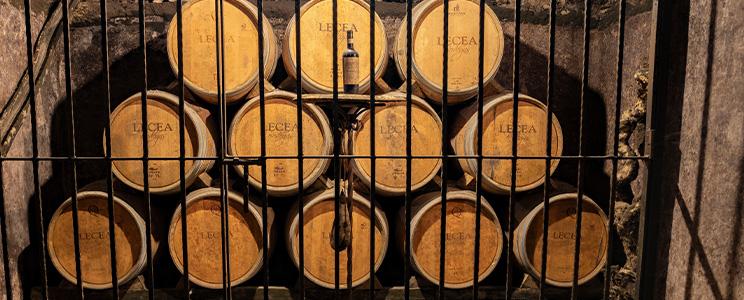Bodegas Lecea 