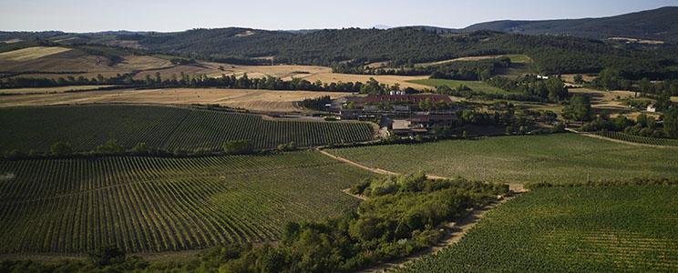 Casa Vinicola Luigi Cecchi e Figli 