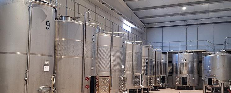 Bodegas y Viñedos Valdebodega 