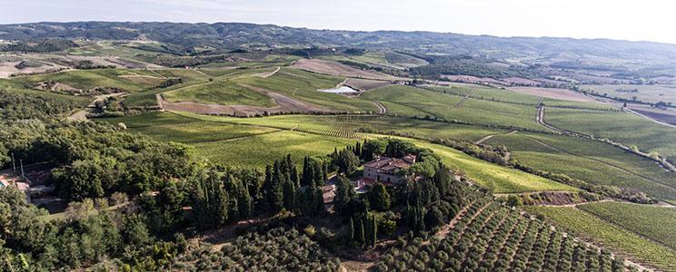 Casa Vinicola Luigi Cecchi e Figli 