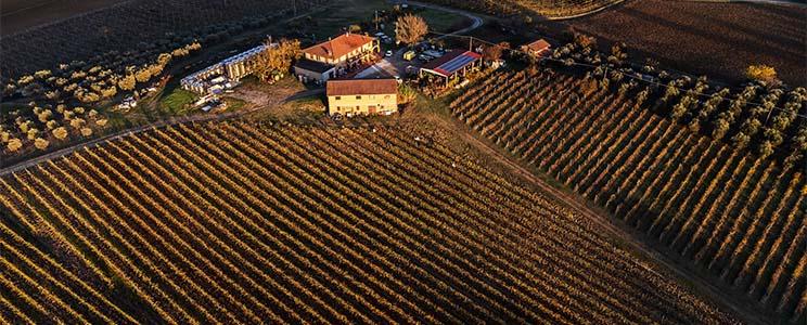 Tenuta Abbadia Vecchia 