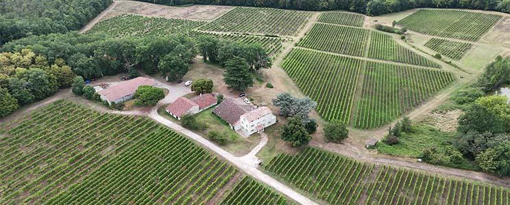 Château les Hauts de Caillevel 