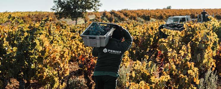 Bodegas Perica 