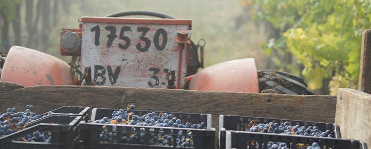 Château Vieille Tour 