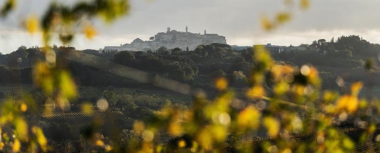 Tenuta Abbadia Vecchia 