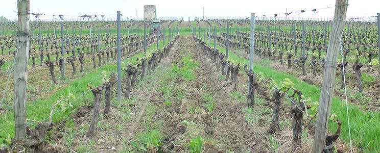 Château Leroy-Beauval 