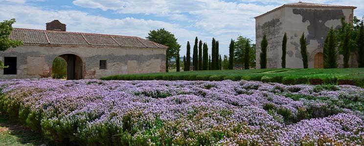 Bodegas La Mejorada 