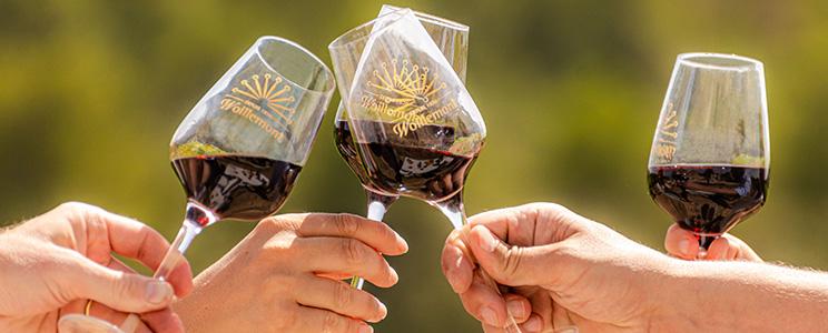 Château de Marmorières 