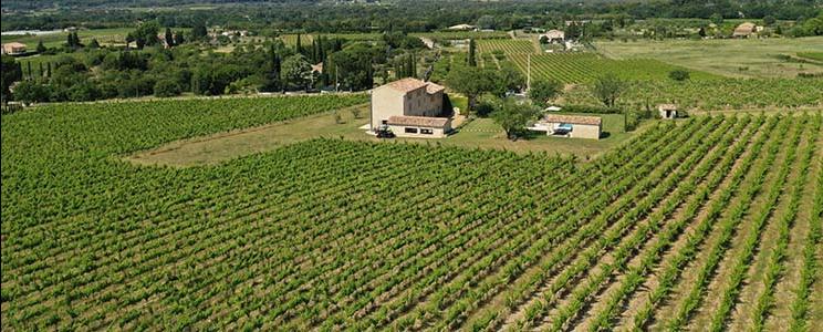 Domaine du Chat Blanc 