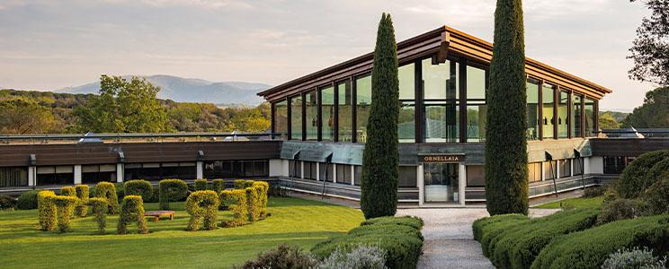 Ornellaia 