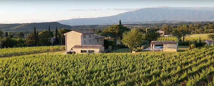 Domaine du Chat Blanc 