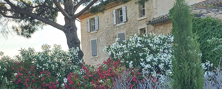 Domaine du Chat Blanc 