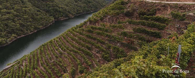 Ponte da Boga 