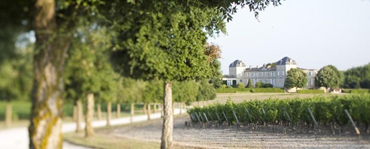 Château Calon Ségur 