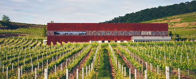 Weingut Abril  (Seite:2)