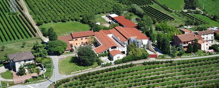 Azienda Agricola Gorgo