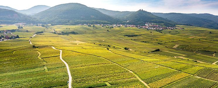 Domaine Heyberger-Meyer 