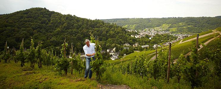 Weingut Villa Huesgen: Weißwein