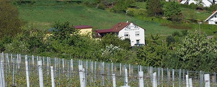 Weingut Herrenbergerhof 