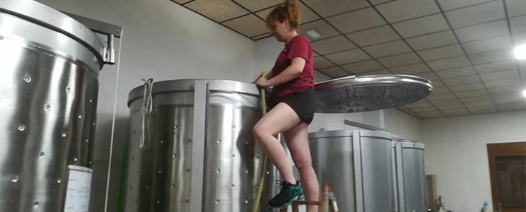 Dobledeperez Microbodega 