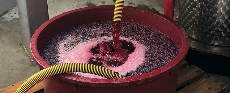 La Chimera D'Albegna 