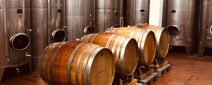 Weingut Georg Schneider 