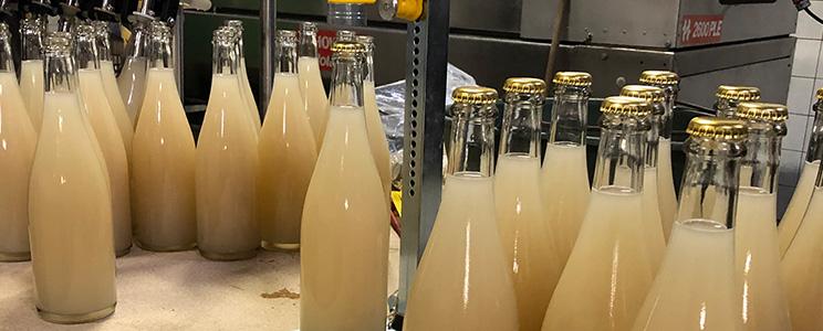 Weingut Georg Schneider 