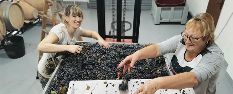 Dobledeperez Microbodega 