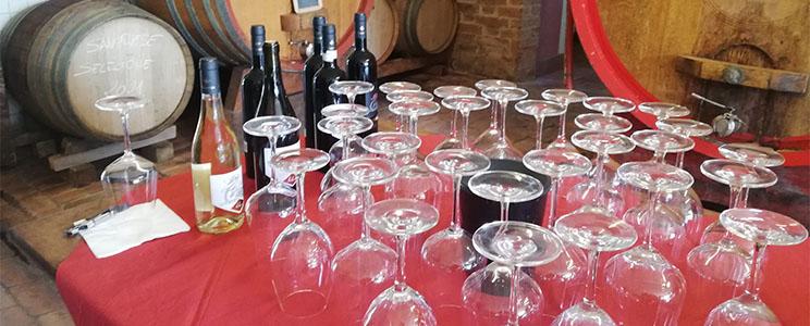 La Cignozza di Roberto Del Buono 