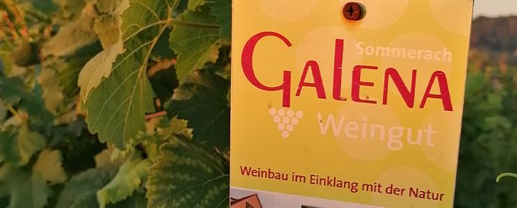 Weingut Galena 
