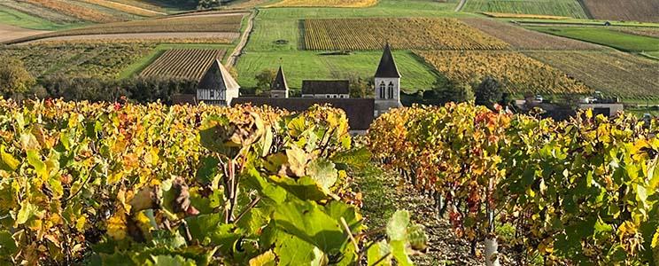 Domaine Christine, Elodie & Patrick Chalmeau 