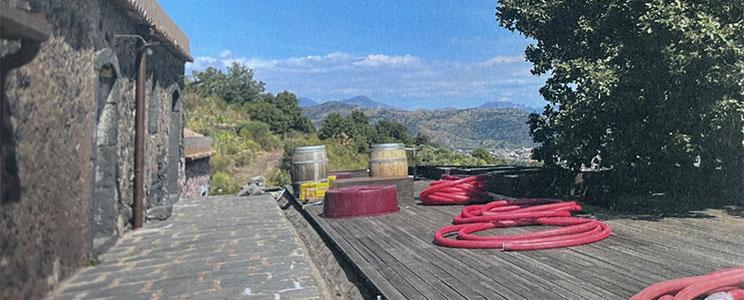 Cantina del Malandrino 