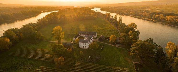 Weingut Schloss Reinhartshausen 
