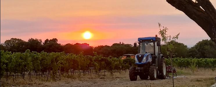 Domaine du Chat Blanc 