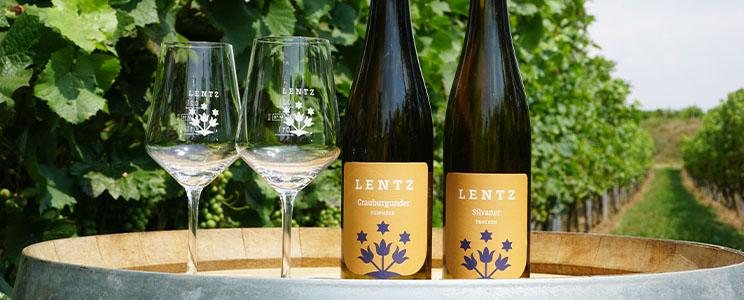Weingut Lentz 
