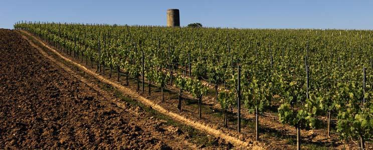 Château Montlandrie 