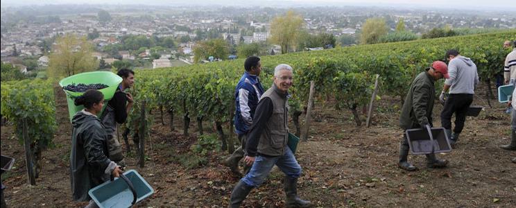 Château Montlandrie 