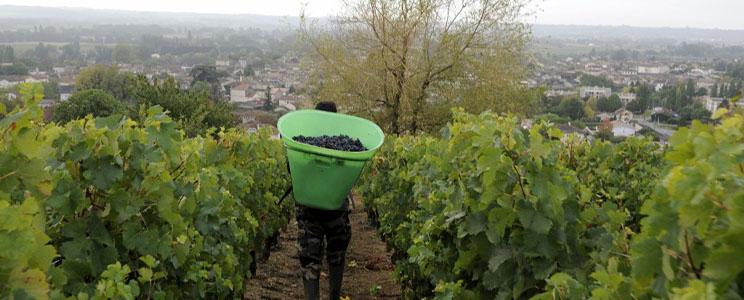 Château Montlandrie 