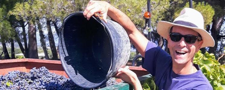 Domaine du Chat Blanc 