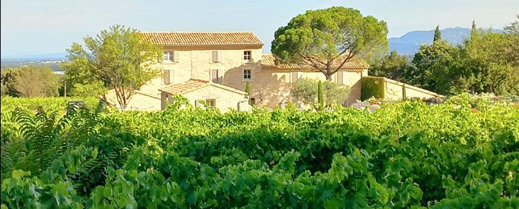 Domaine du Chat Blanc 