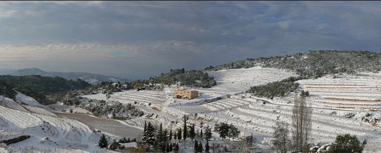 Celler Joan Ametller 