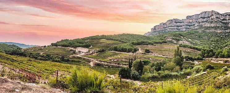 Celler Joan Ametller 