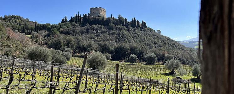 Fattoria di Ripa d'Orcia 