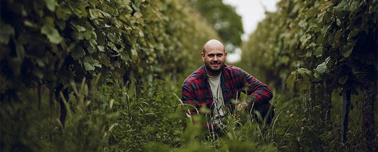 Weingut Gut von Beiden 